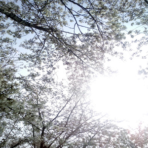 调教体育生Gay2024www
